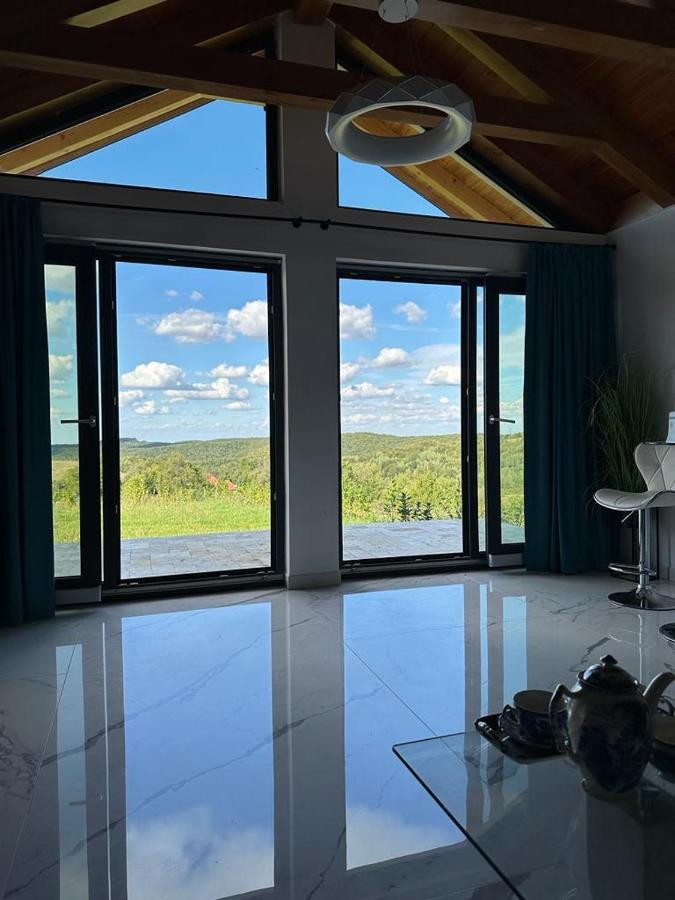 Casa Moderna In Sinteu - Intersectia Intre Modern Si Linistea Naturii Huta Voivozi Exterior foto