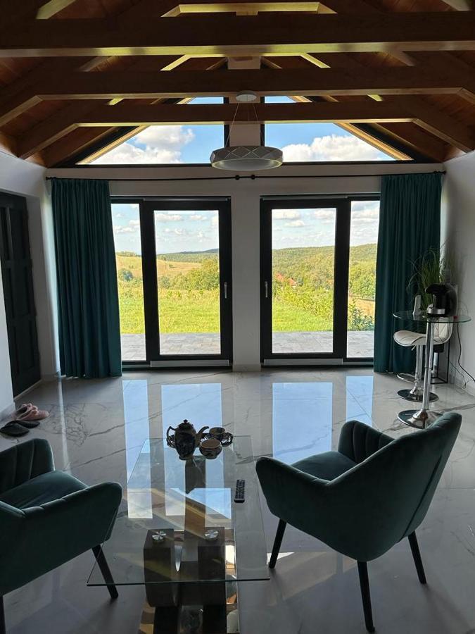 Casa Moderna In Sinteu - Intersectia Intre Modern Si Linistea Naturii Huta Voivozi Exterior foto