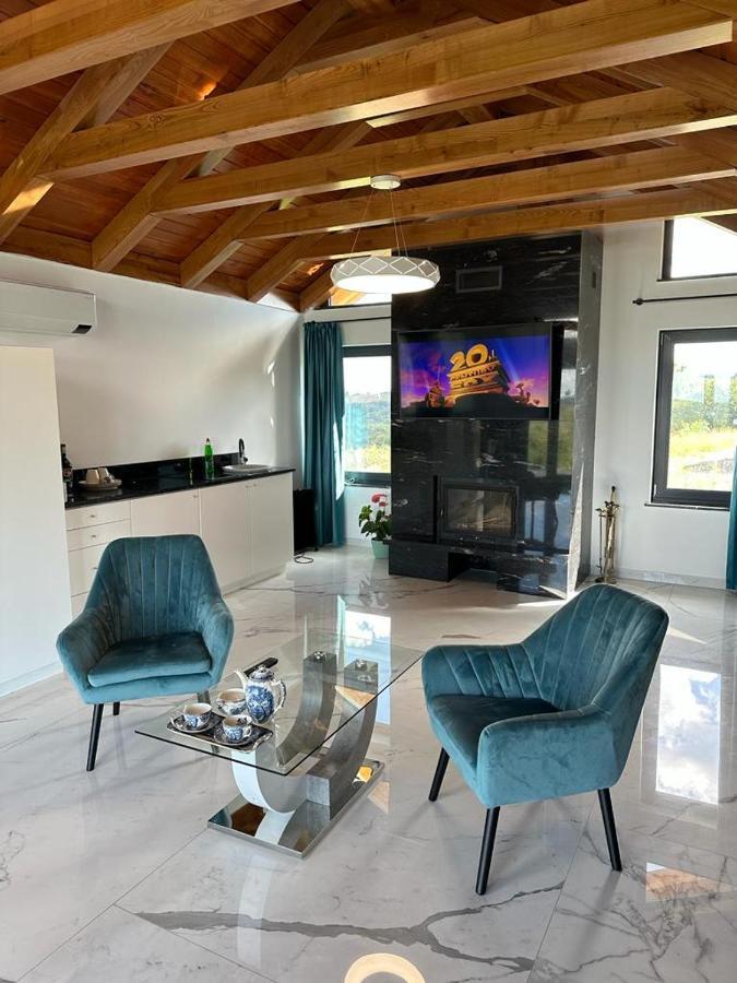 Casa Moderna In Sinteu - Intersectia Intre Modern Si Linistea Naturii Huta Voivozi Exterior foto